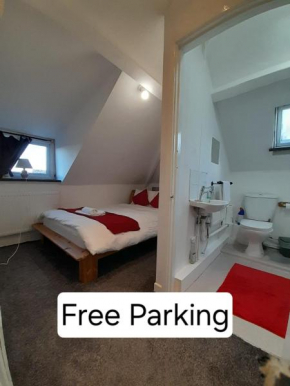 Entire Victoria Park Cardiff Apartment With Free Street Parking